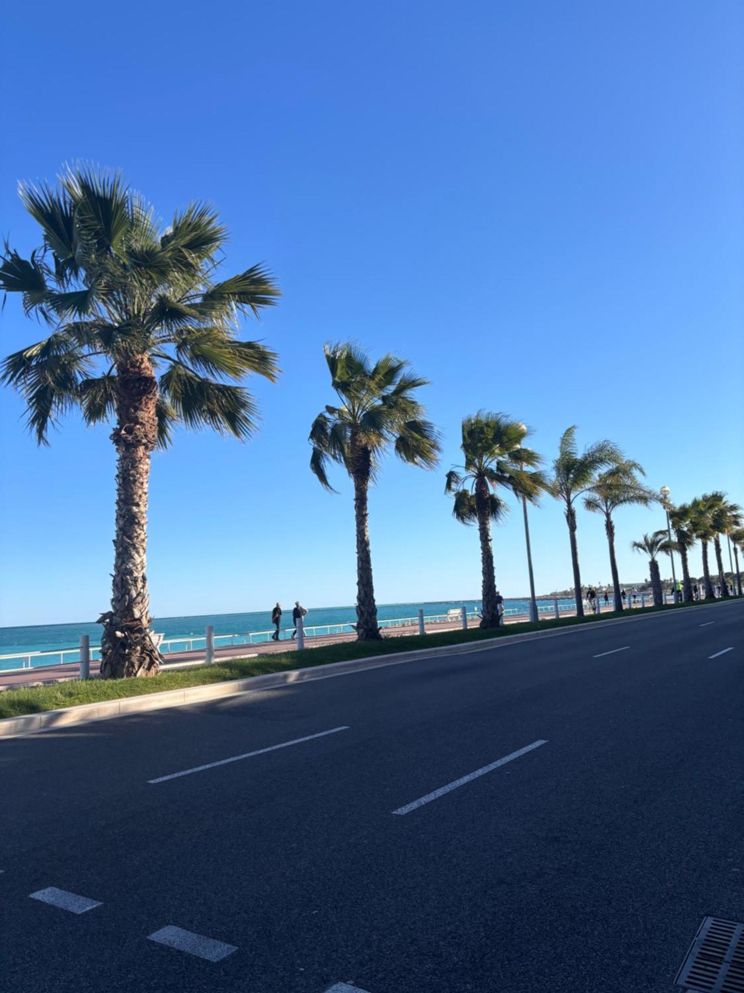 Grand Studio De 30 M2 Promenade Des Anglais Niza Exterior foto